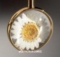 Preview: Flower Child Pendant * stainless Steel IP gold * white flower *