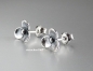 Preview: Trollbeads * Blumenpoesie Ohrstecker *