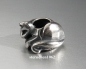 Mobile Preview: Trollbeads * Samtpfote Spacer *