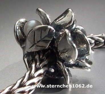 Preview: Trollbeads * Rose - Juni *